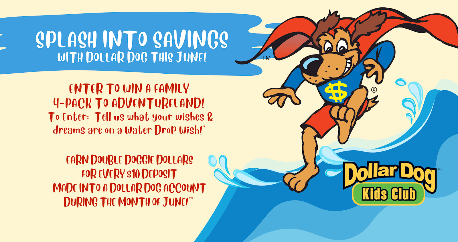 Splash into Savings