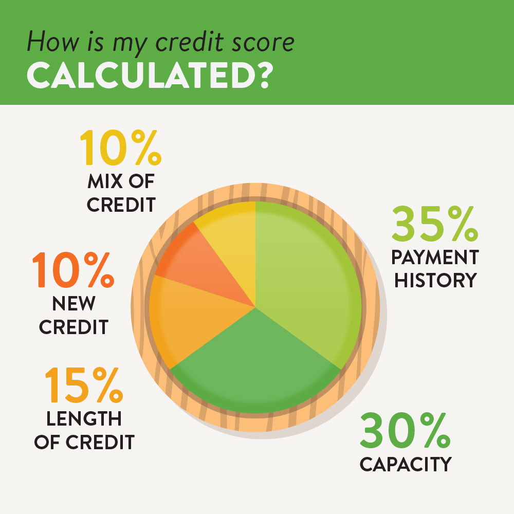 A pie chart showing the breakdown of a credit score