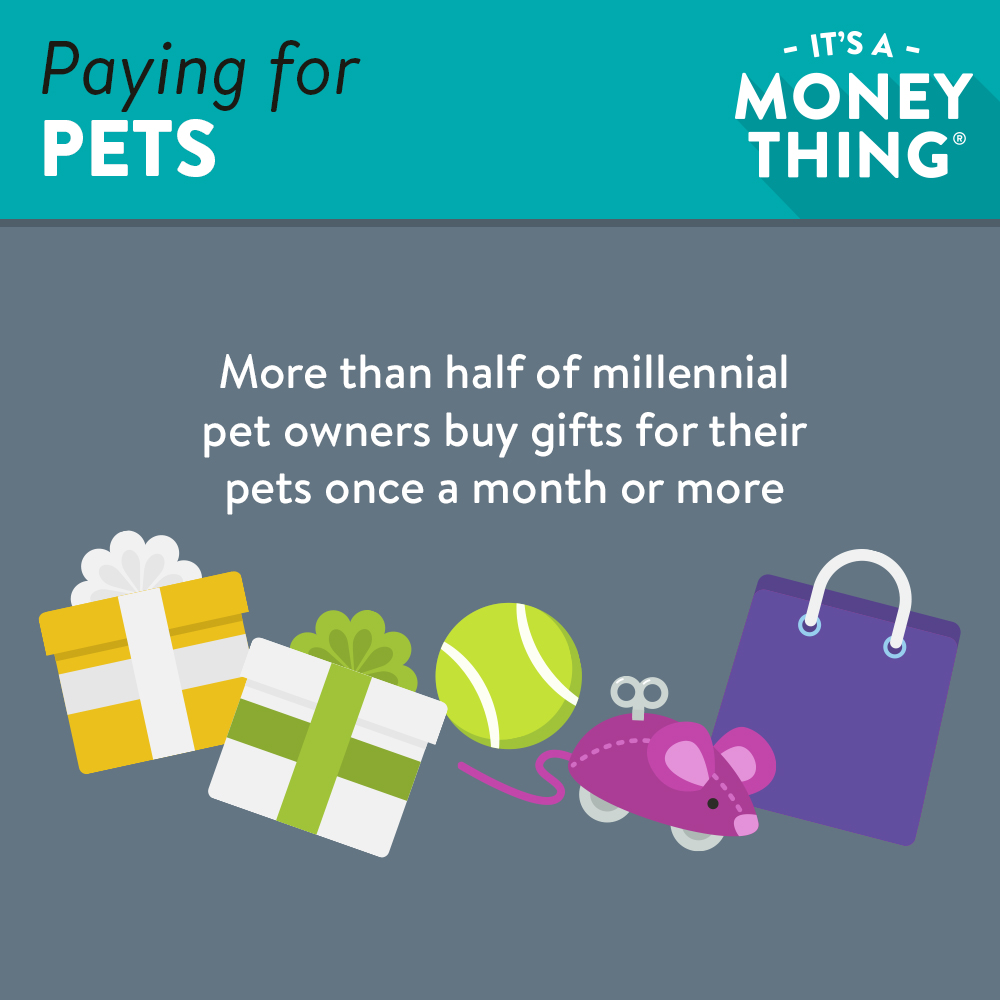 Paying for Pets 3