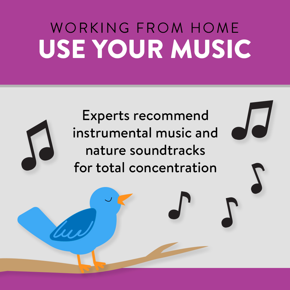 Bird with music notes to work from home