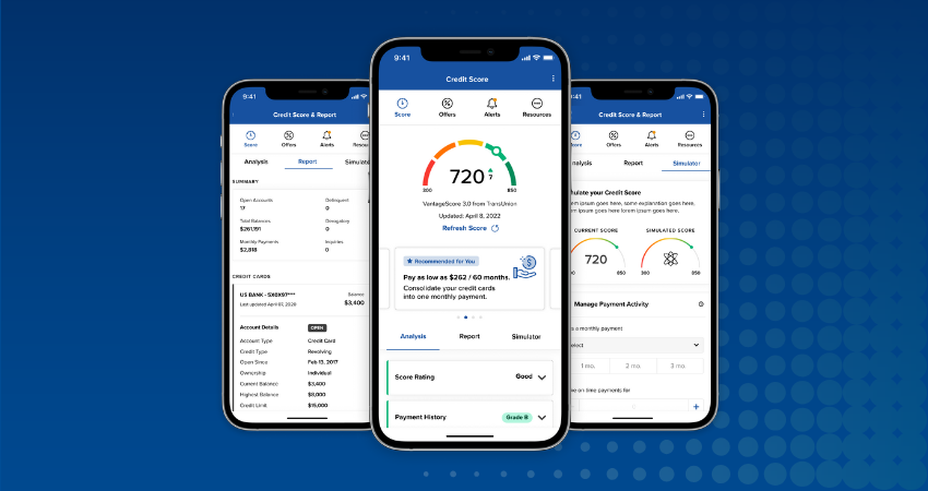Credit Score and Report
