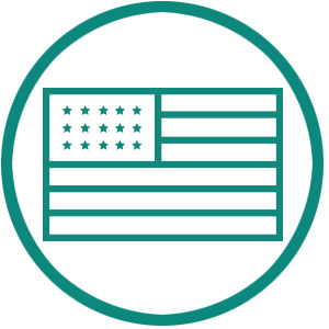 american flag icon