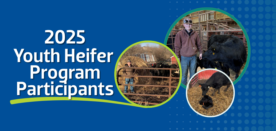 Youth Heifer Program Participant Announcement